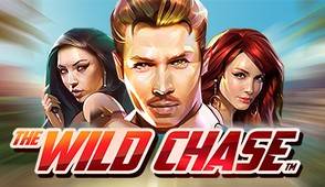 
										Игровой Автомат The Wild Chase