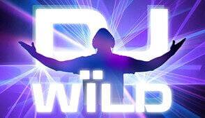 
										Игровой Автомат DJ Wild